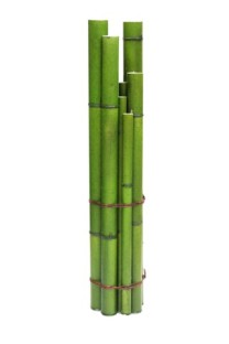 Bamboo base x12 58cm  dia14cm   4/16