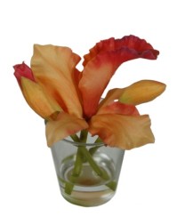 Mini cattleya in vase water illusion  coral  6/36