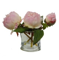 Peony with bud vase water illusion  light pink 1/8