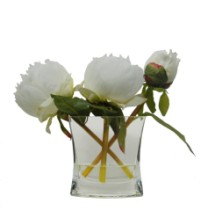 Peony with bud in vase water illusion  white 1/8