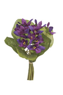 African Violet bundle x12flrs,5lvs 20cm    72/1008