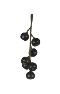 Berry Sprig  (24/Polybag)   burgundy/black  20/480