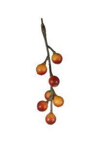 Berry Sprig  (24/Polybag)   red/yellow  20/480