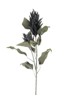 Celosia 91cm   black   12/72