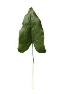 Calla lily leaf 40cm   48/576