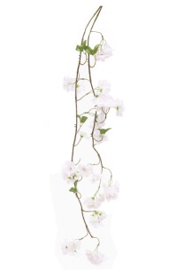 Cherry blossom garland  71cm  white/pink     6/48
