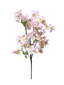 Apple blossom spray 76cm  white/pink  12/72