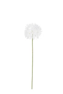 Dandelion stem small 81/7cm  36/180