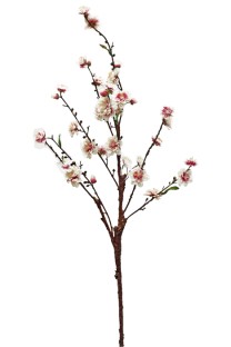 Cherry blossom 112cm    cream/pink   6/72