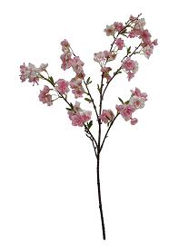 Cherry blossom spray 100cm pink  24/144