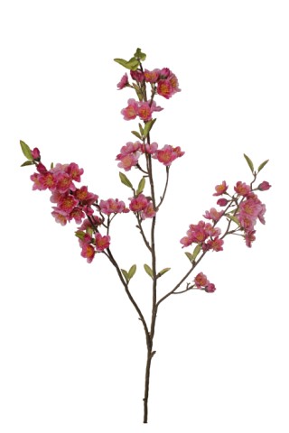 Cherry blossom branch x3  99cm  pink  18/180