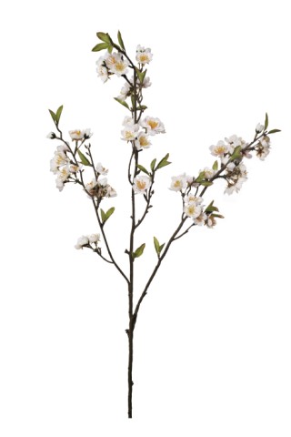 Cherry blossom branch x3  99cm  white  18/180
