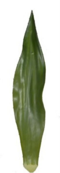 Aloe leaf 85cm   green   12/72