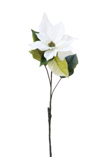 Poinsetia velvet small 48cm x5lvs  white   12/144