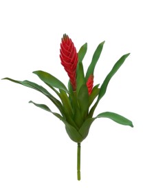 Bromelia plant plastic x18lvs 2flrd gr/red 33cm24/