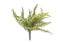 Boston fern (plastic) 38cm   12/48