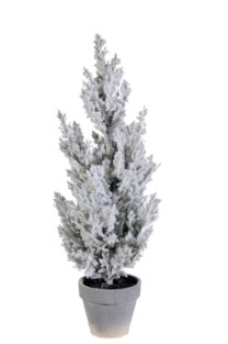 Flocked cypress potted with ice 44cm  white 6/24