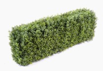 Boxwood hedge plastic L95xH30xP25  0/1