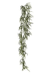 Cactus garland 75cm   12/72
