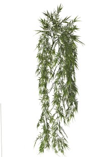 Bamboo hanging x10 162lvs plastic 105cm green 6/72